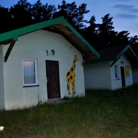 Domki Pod Lasem Płońsk Exteriör bild