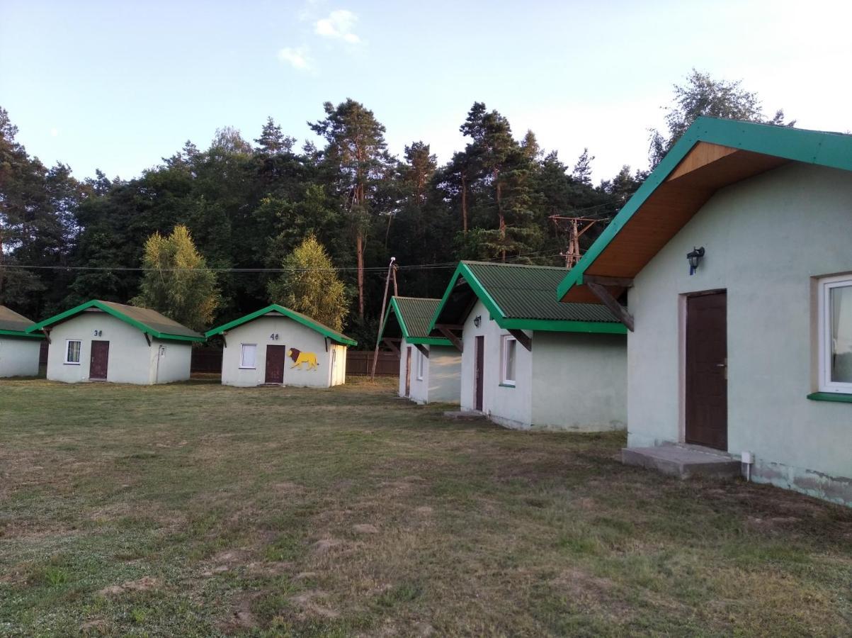 Domki Pod Lasem Płońsk Exteriör bild