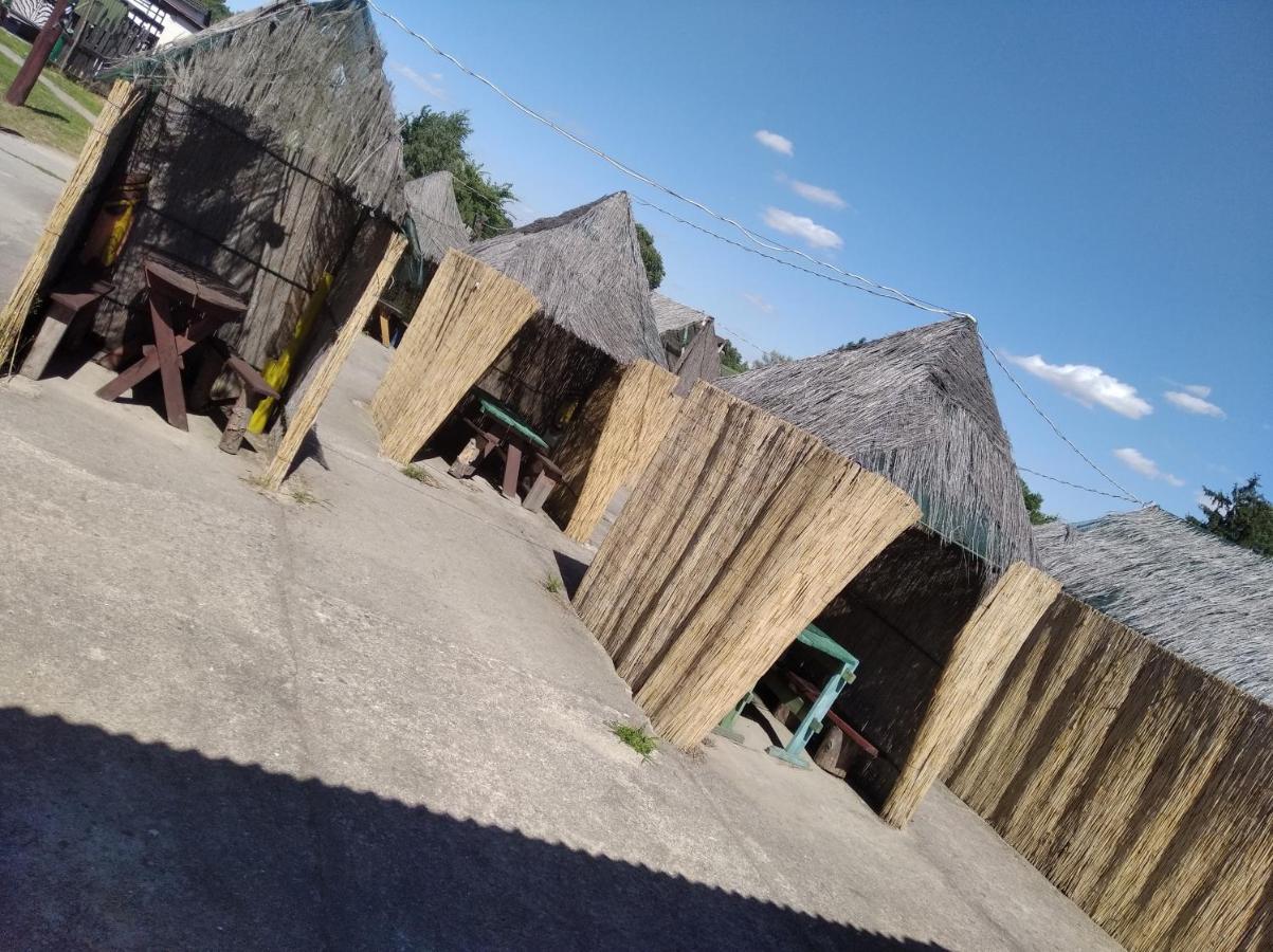 Domki Pod Lasem Płońsk Exteriör bild