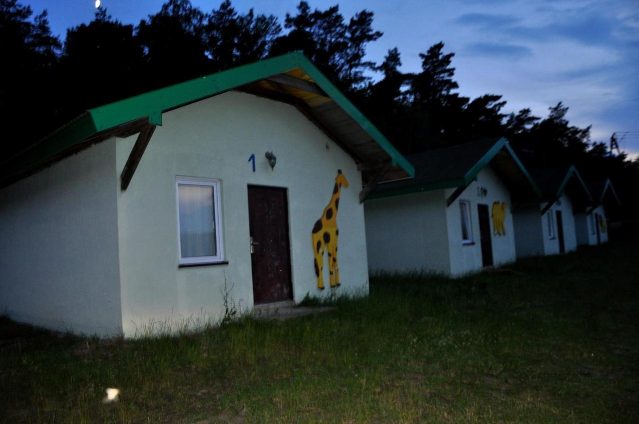 Domki Pod Lasem Płońsk Exteriör bild