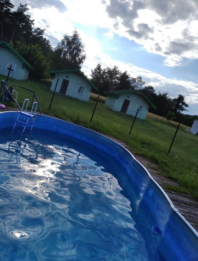 Domki Pod Lasem Płońsk Exteriör bild