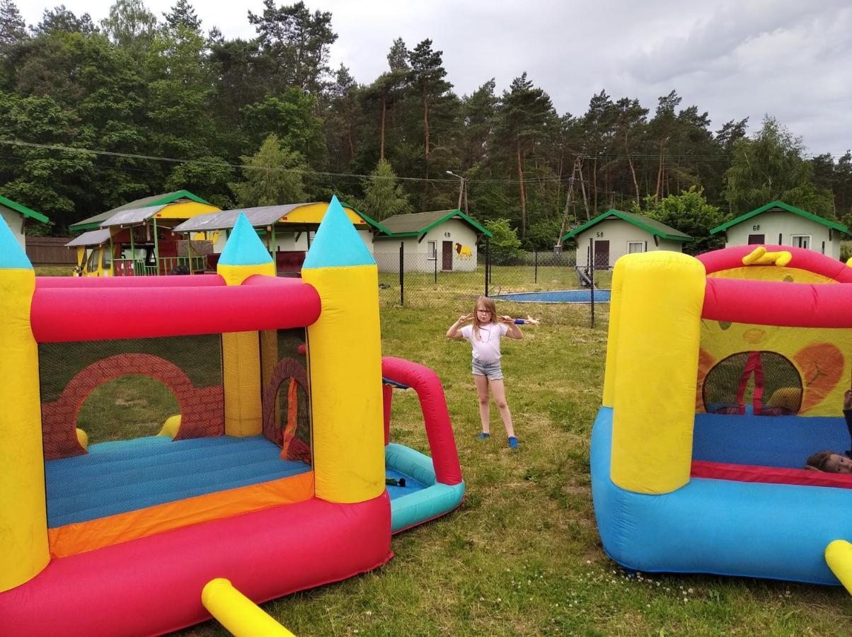 Domki Pod Lasem Płońsk Exteriör bild