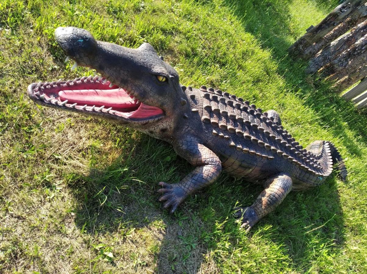 Domki Pod Lasem Płońsk Exteriör bild