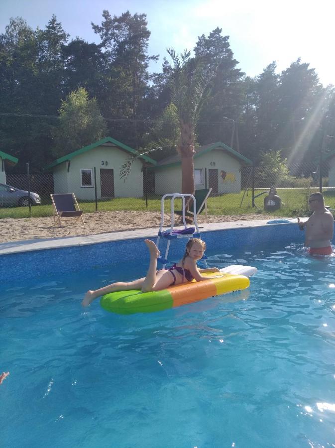Domki Pod Lasem Płońsk Exteriör bild