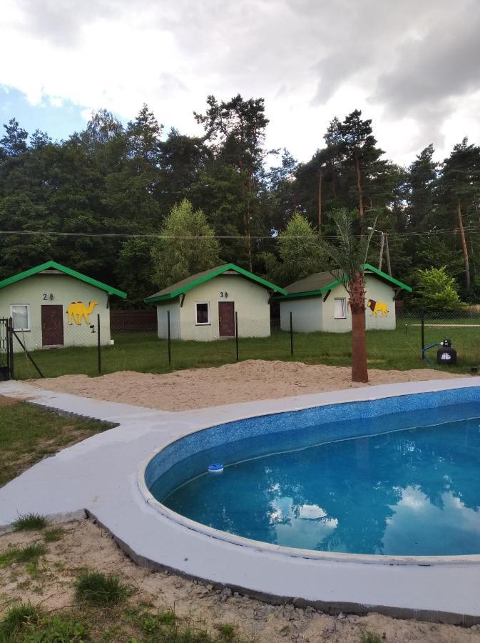 Domki Pod Lasem Płońsk Exteriör bild