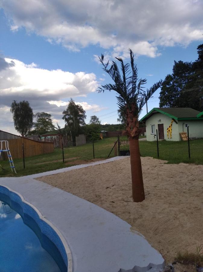 Domki Pod Lasem Płońsk Exteriör bild