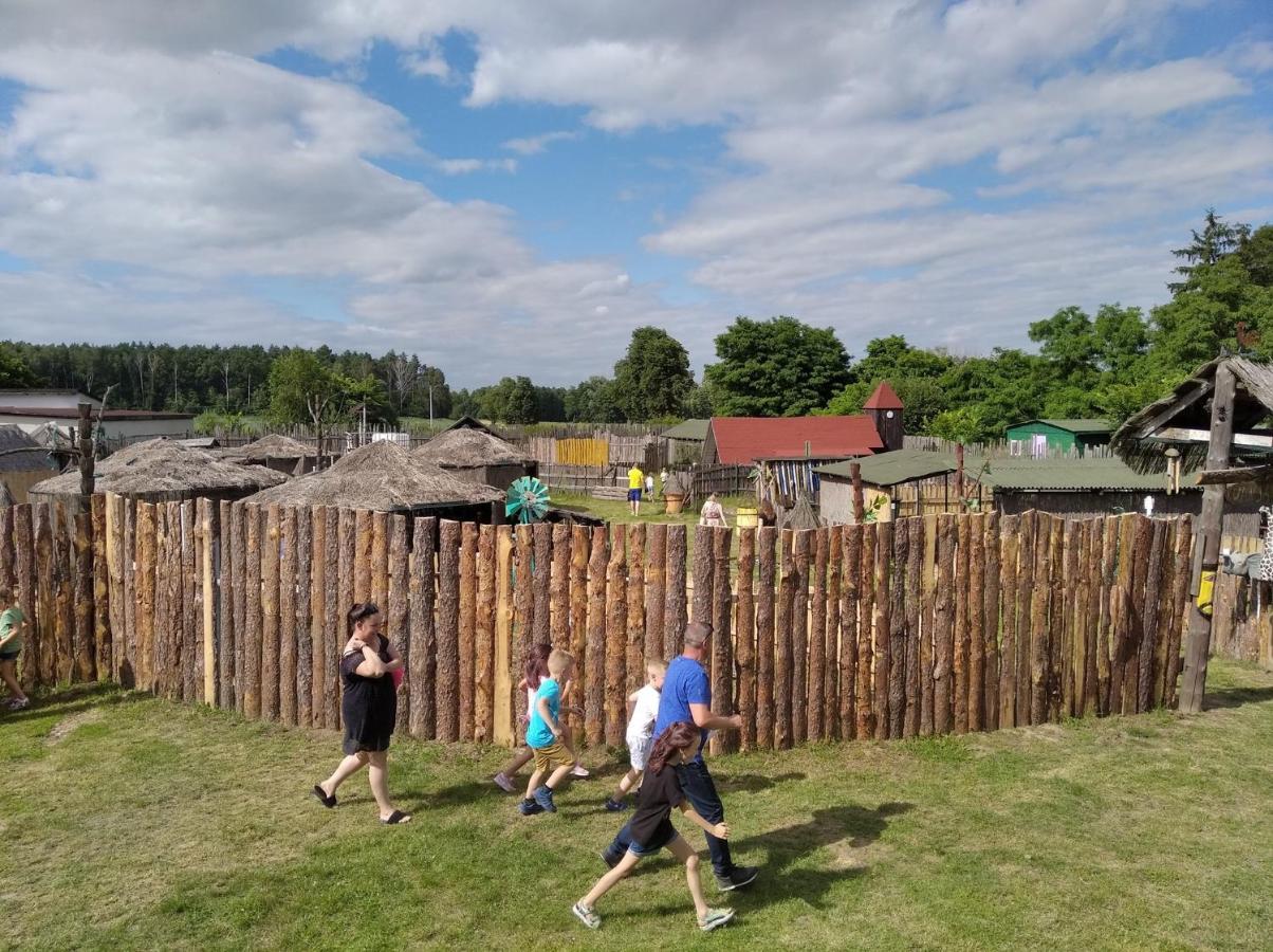 Domki Pod Lasem Płońsk Exteriör bild