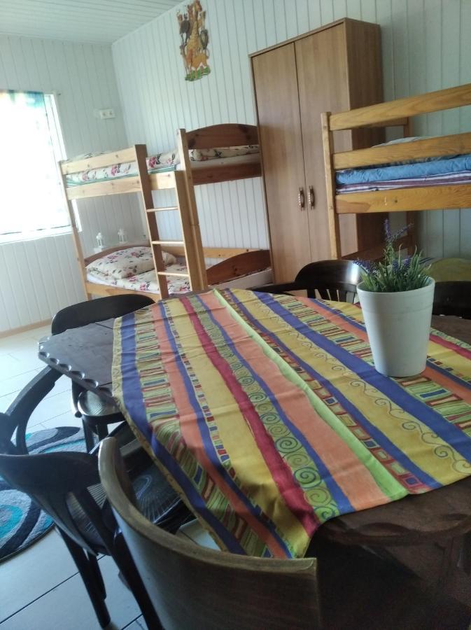 Domki Pod Lasem Płońsk Exteriör bild